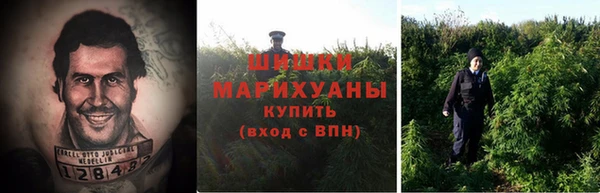 амф Белоозёрский